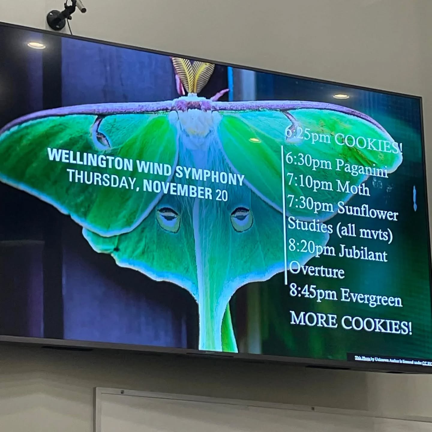Last night's rehearsal order! Things are coming together really well and we can't wait to see you there!
📆 November 28th
⏰ 7:30 pm
📍 Knox Presbyterian Church (50 Erb St, W, Waterloo)
🎟 Tickets available at: https://wellingtonwindsymphony.ca/evergreen/