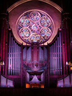 Just imagine experiencing the power of a wind ensemble transformed into a MASSIVE organ with J.S. Bach’s monumental, “Toccata and Fugue in d minor!” Donald Hunsberger’s fantastic (and challenging!) arrangement is sure to impress! That’s not all we’ll have in store for you though! 🎵
Get your tickets for our season premiere ‘Horror Vacui’ on Oct. 30th @ 7:30 PM!
Theatre Auditorium, WLU
🎟️ https://www.zeffy.com/en-CA/ticketing/wws-concert-horror-vacui
2026-2027 Season Passes still available at www.wellingtonwindsymphony.ca